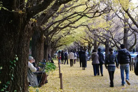 Le jardin Meiji jingu à Tokyo Le jardin Meiji jingu à Tokyo