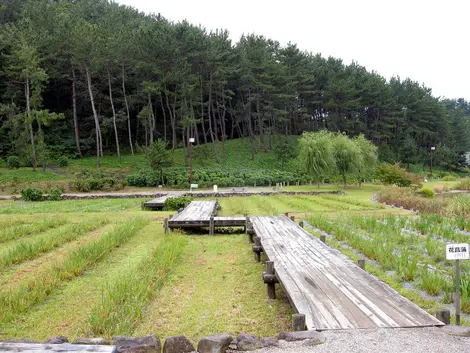 Vue depuis le musée Ken Domon