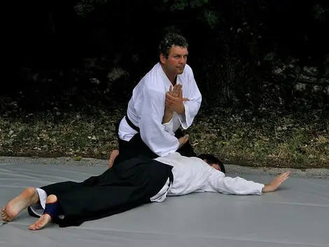 Aikido immobilisation Flickr - Darij & Ana