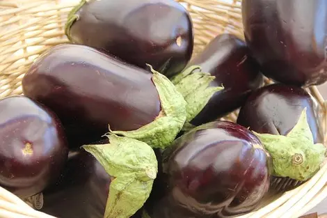 aubergines