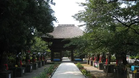 morinji-tatebayashi morinji-tatebayashi