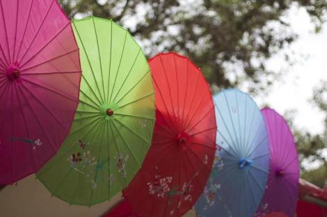 japanese-umbrellas
