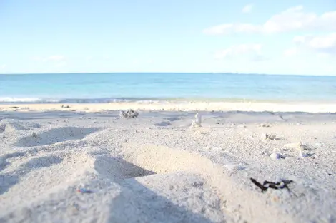 Plage de sable blanc