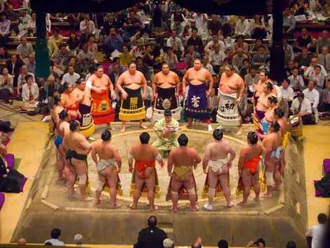 L'avant-tournoi L'avant-tournoi