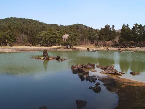 L'étang Oizumi ga ike du temple Motsuji, Hiraizumi L'étang Oizumi ga ike du temple Motsuji, Hiraizumi