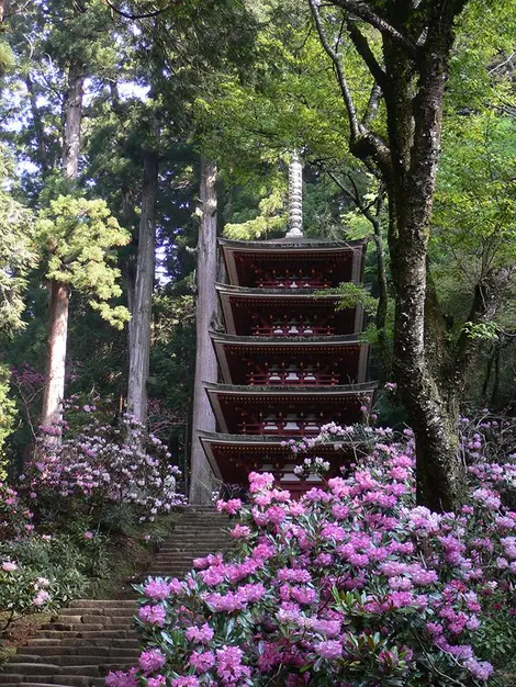 La pagode Muro-ji entourée de rhododendrons en fleurs.