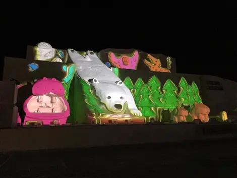 lumieres-festival-asahikawa