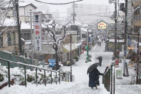 Tokyo with snow
