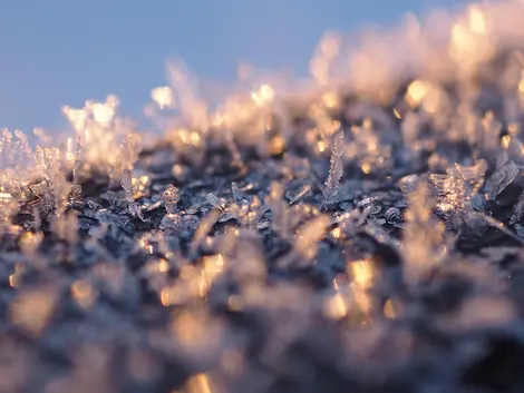 L'hiver au Japon L'hiver au Japon