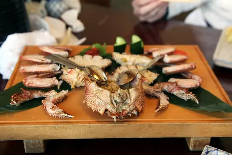 Kegani crab Crabe kegani