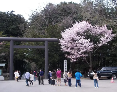 Torii du Hokkaidô Jingû