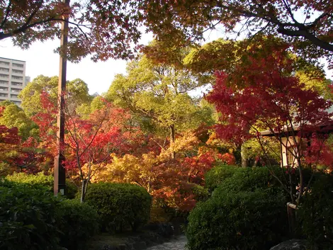 Jardin Sorakuen Jardin Sorakuen