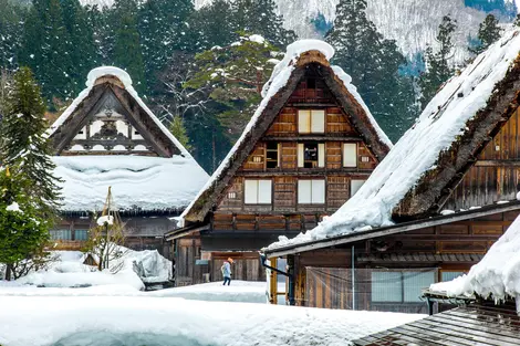 Shirakawago village in the snow Shirakawago village in the snow