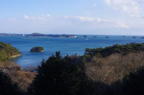 La baie de Matsushima, dans la région du Tohoku La baie de Matsushima, dans la région du Tohoku