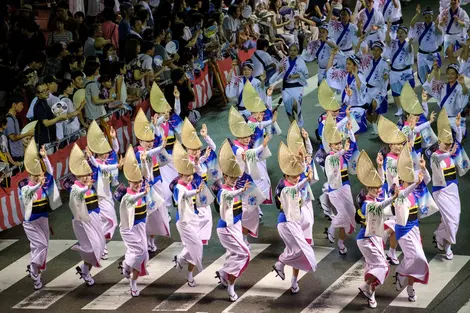 Le festival Awa odori à Tokushima Le festival Awa odori à Tokushima