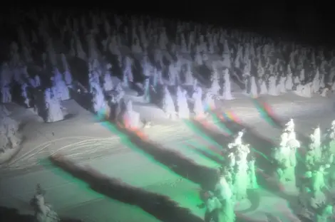 Les monstres des neiges illuminés Les monstres des neiges illuminés
