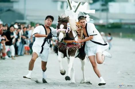 umadashi_matsuri umadashi_matsuri