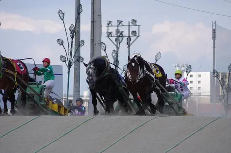 course_banei_tokachi course_banei_tokachi