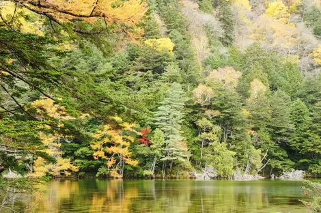 Parc national de Chubu Sangaku 