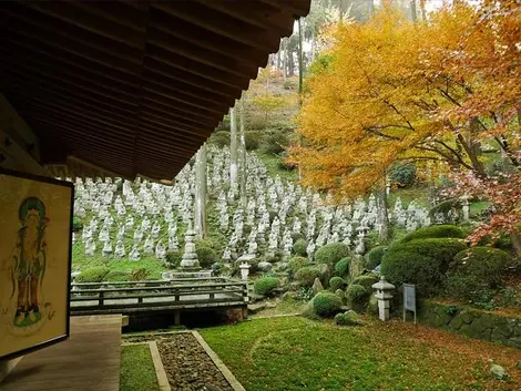 100 Buddhas 100 Buddhas