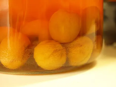 L'umeshu est très facile à préparer chez soi ! L'umeshu est très facile à préparer chez soi !