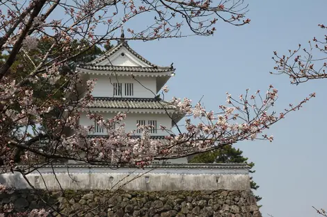 castle sakura castle sakura