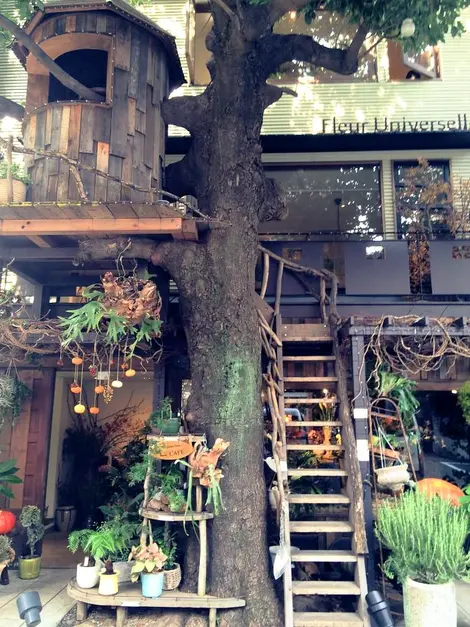 Les grands arbres, Hiroo Les grands arbres, Hiroo