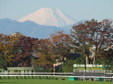 mont_fuji_hippodrome_fuchu mont_fuji_hippodrome_fuchu