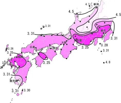 sakura-senzen sakura-senzen