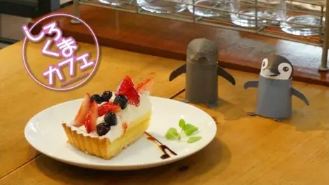 Le café de Shirokuma Le café de Shirokuma