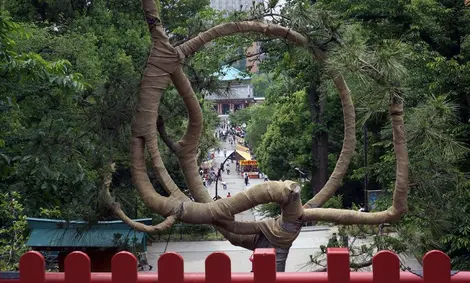 tsuki-no-matsu-ueno