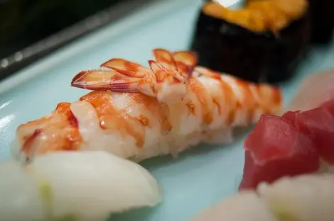 Sushi Sushi