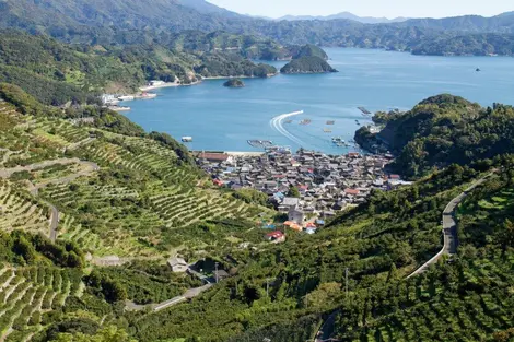 Terraced fields at Karihama