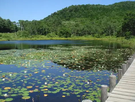 Etang Ichinuma