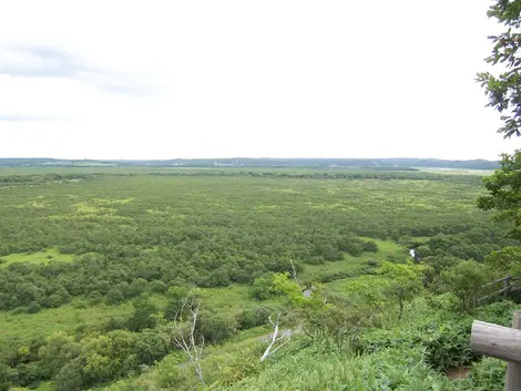 Marais de Kushiro Shitsugen