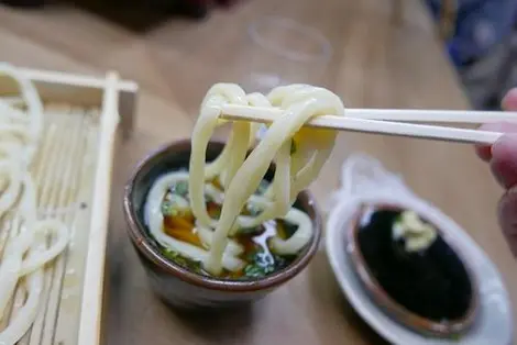 Nouilles udon froides Udon froides