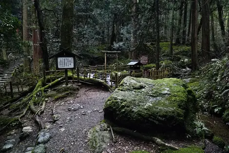 L'entrée de la cascade d'Uriwarino