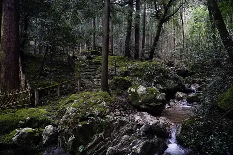 Le petit chemin qui permet de randonner sur les hauteurs de la cascade