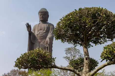 Ushiku Daibutsu, le plus grand Bouddha du Japon