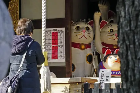 Les chats sont omniprésents dans ce temple tokyoïte