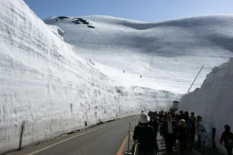 Le canyon de neige de Yukino-Otani