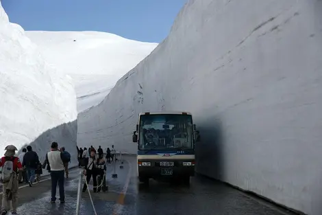 Le canyon de neige de Yukino-Otani