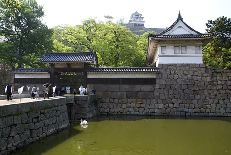 Le château de Marugame