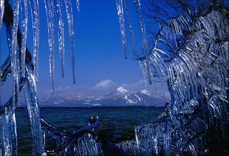 La glace colonise aussi bien la végétation que la roche La glace colonise aussi bien la végétation que la roche