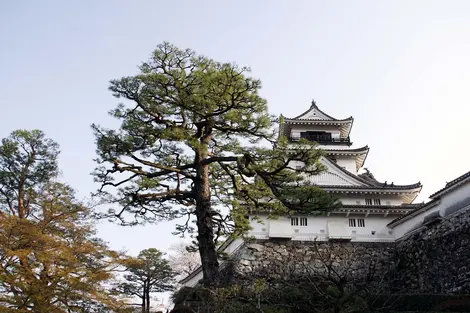 Le château de Kochi