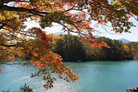 Un des marais de Goshiki