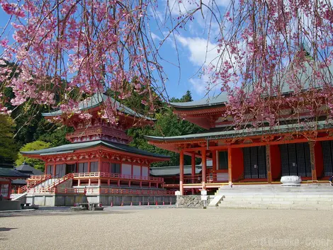 Le temple Enryaku-ji ,Ôtsu Le temple Enryaku-ji ,Ôtsu