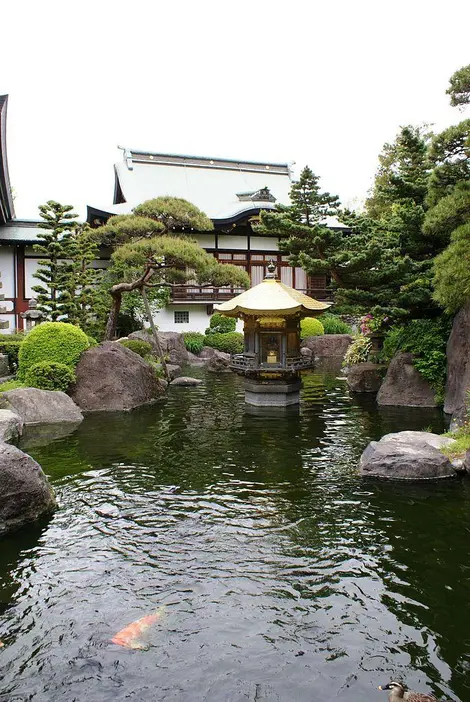 jorenjiTemple jorenjiTemple