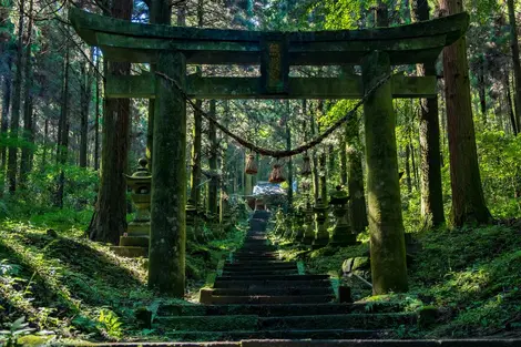 Kamishikimi kumano imasu