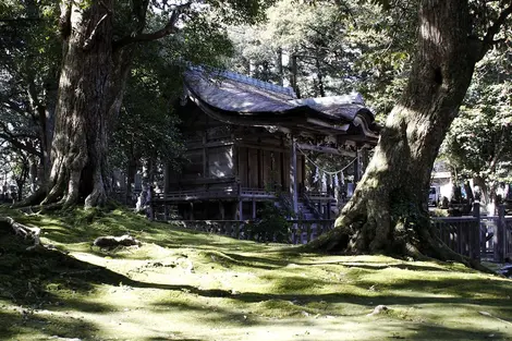 Un des bâtiments du temple Myoji-ji.